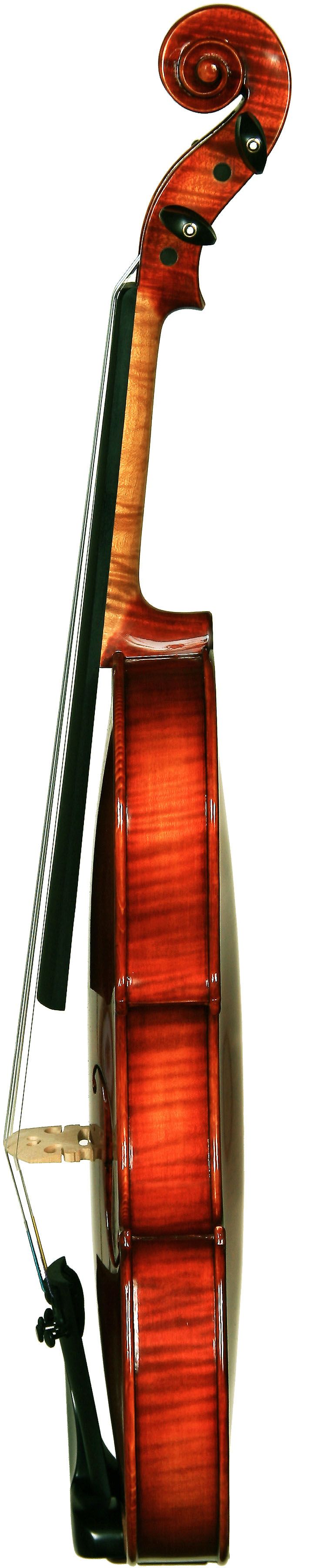 hl-6d-02.jpg